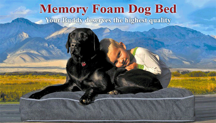 cover-bed-dog