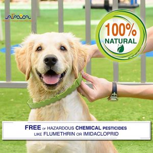 Natural Pet Protection