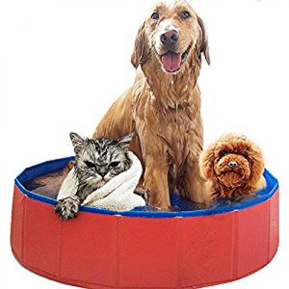 Swimmingpets